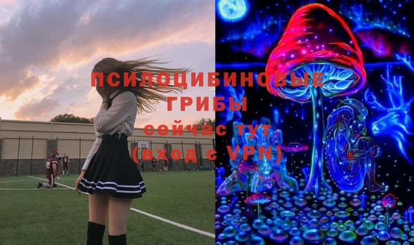 прущая мука Переславль-Залесский