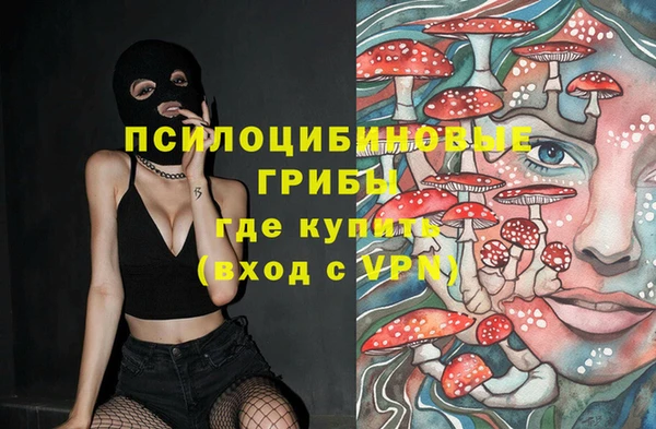 твердый Пересвет