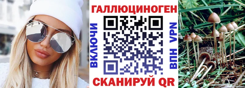 купить цена Ковдор Псилоцибиновые грибы Psilocybe